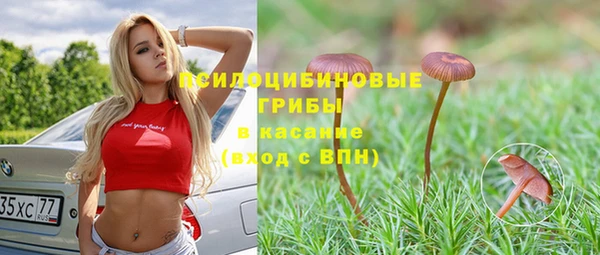 шишки Волосово