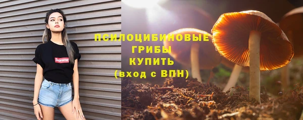 ALPHA-PVP Верея