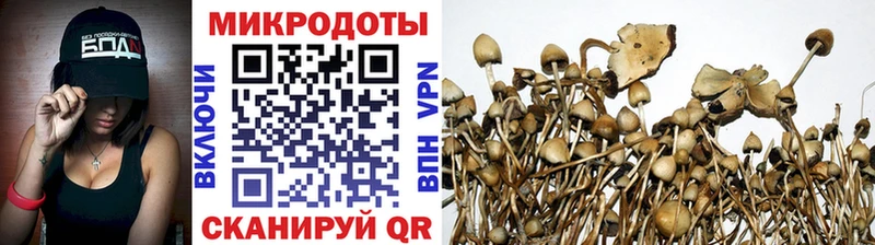 Псилоцибиновые грибы мицелий  где купить наркоту  Десногорск 